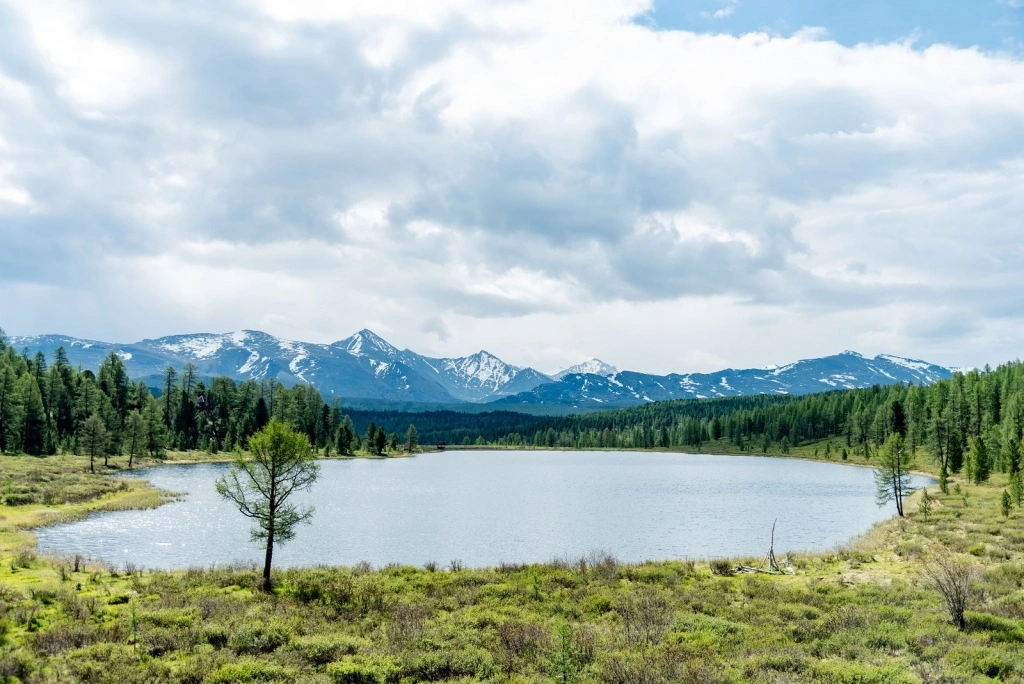 DSC_5514.jpg DSC_5514.jpg